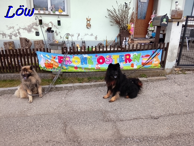 4.4.2026 - Ostergru&szlig;